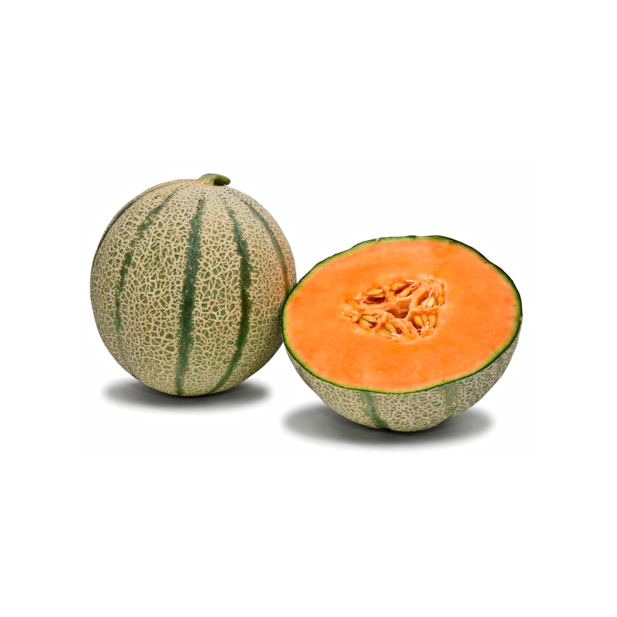 Plantiflor  Melone Setzling Durchmesser 12 cm Bild 2