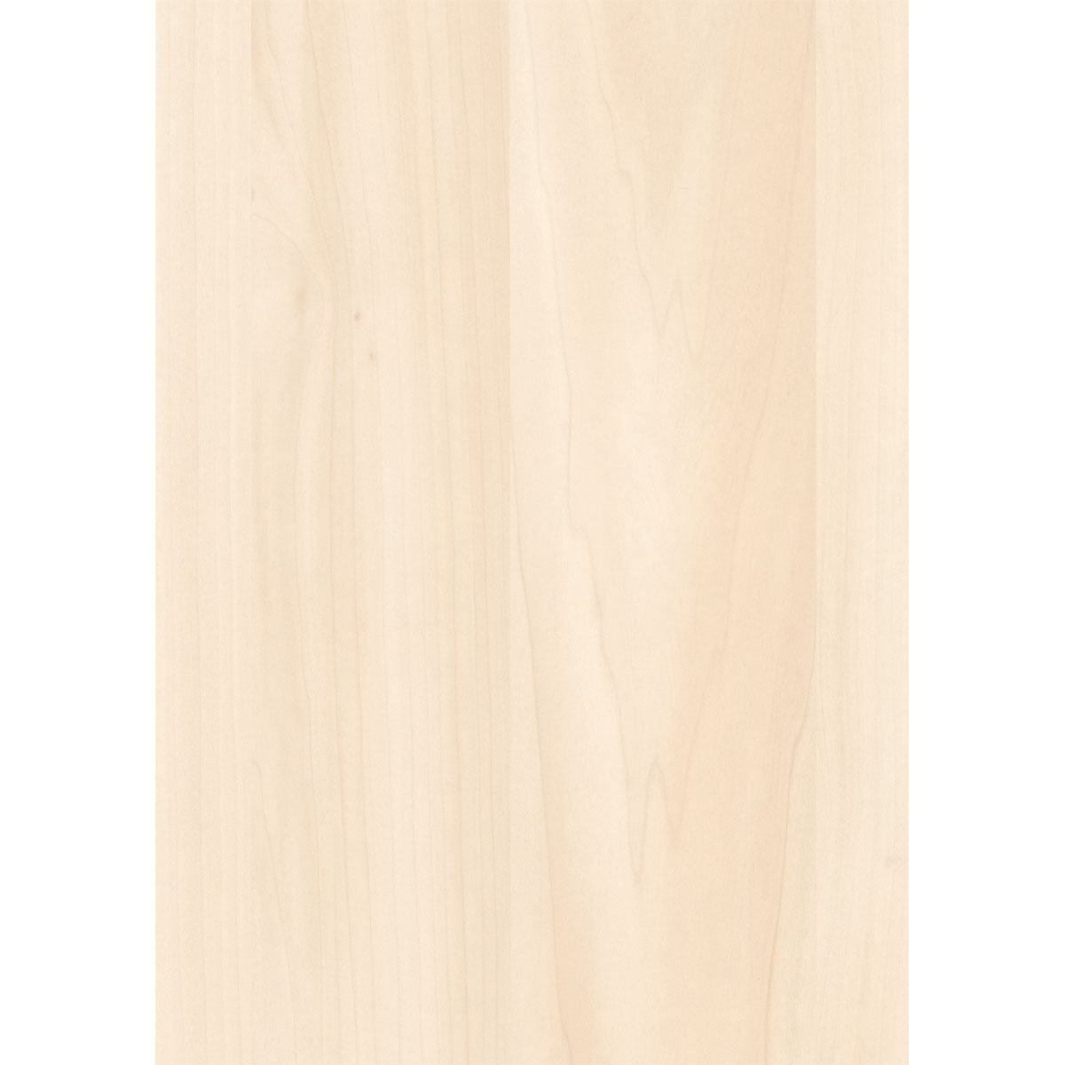 Specht Ambiente Paneel 10mm Birke hell