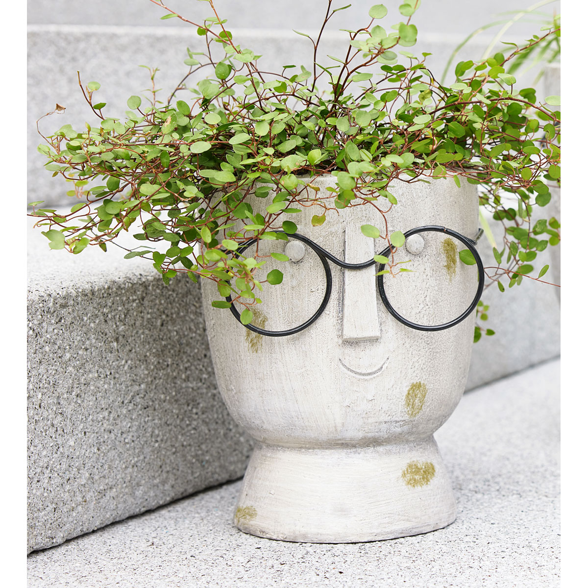 Pflanztopf Smile LxBxH 17 x 17 x 22 cm Bild 1