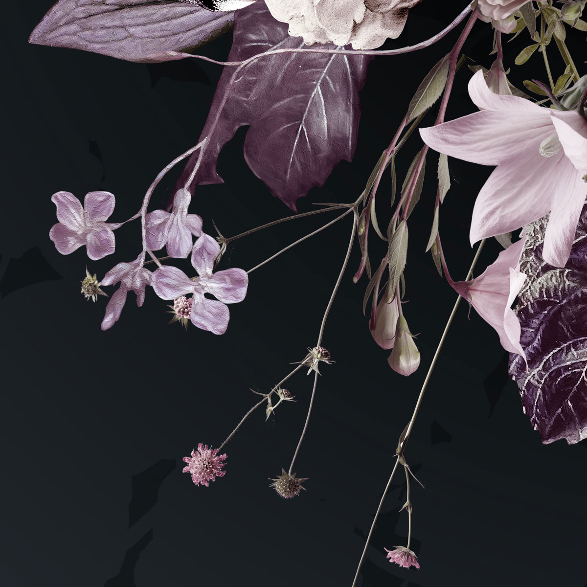 Komar  Vlies Fototapete Bouquet Noir 200x250 cm Bild 6