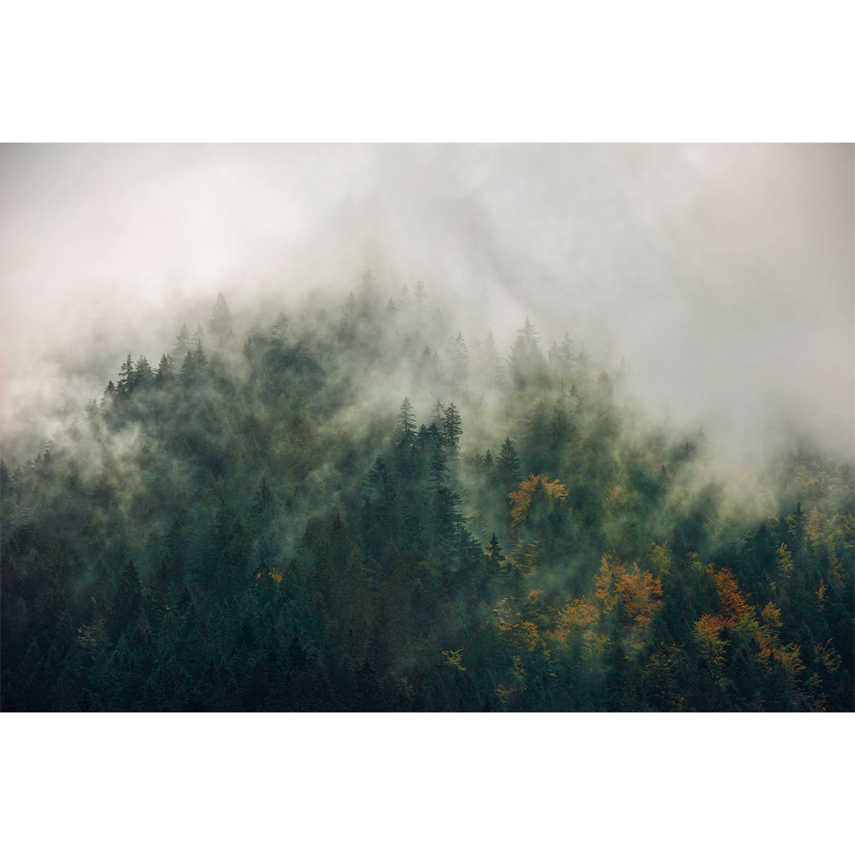 Komar  Vlies Fototapete Tales of the Carpathians 300x200 cm Bild 2