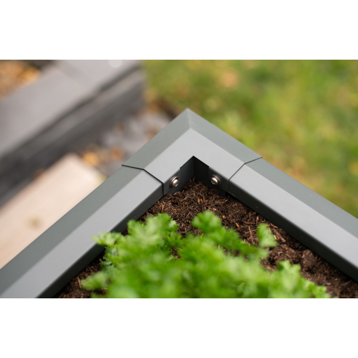 Westmann Hochbeet Primus M 50x100x77cm Bild 6