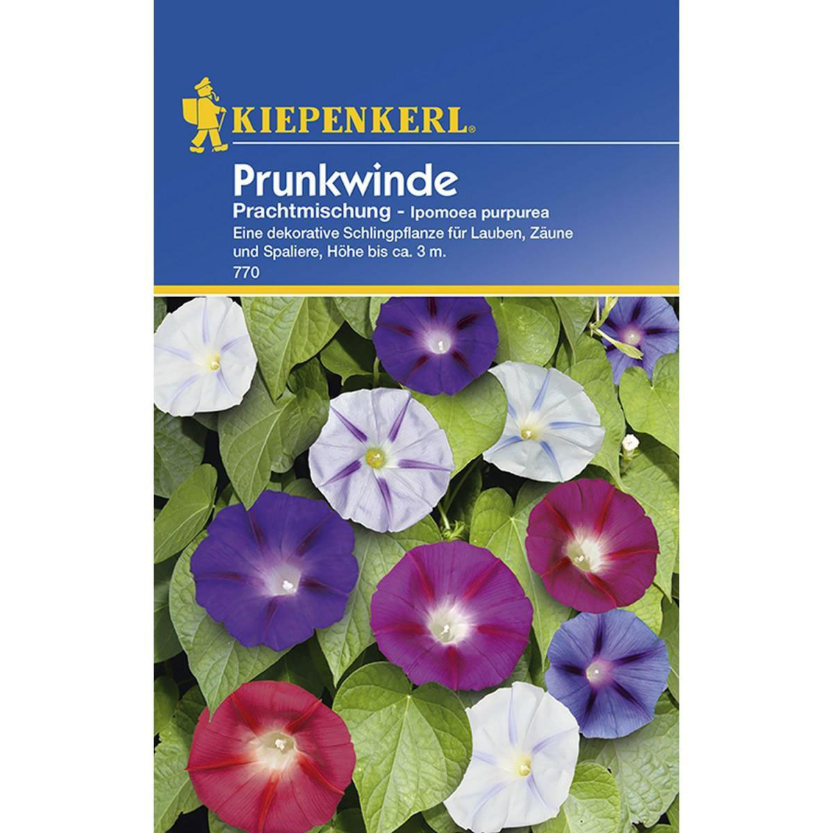 Kiepenkerl Prunkwinde Prachtmischung Bild 1