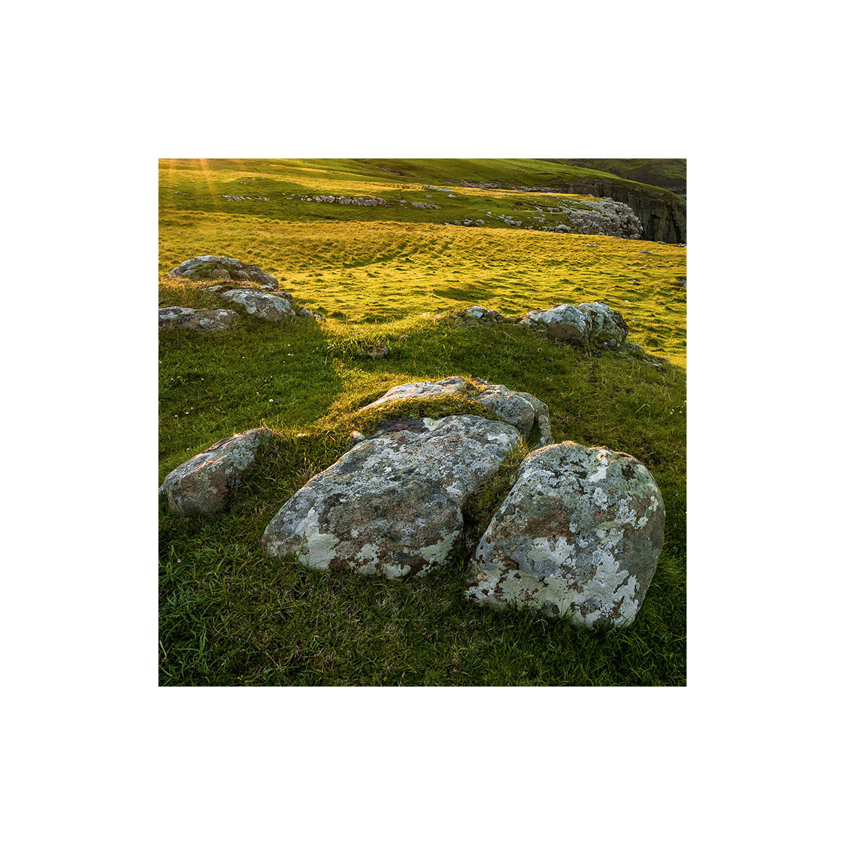 Komar  Vlies Fototapete Scottish Paradise 450x280 cm Bild 9