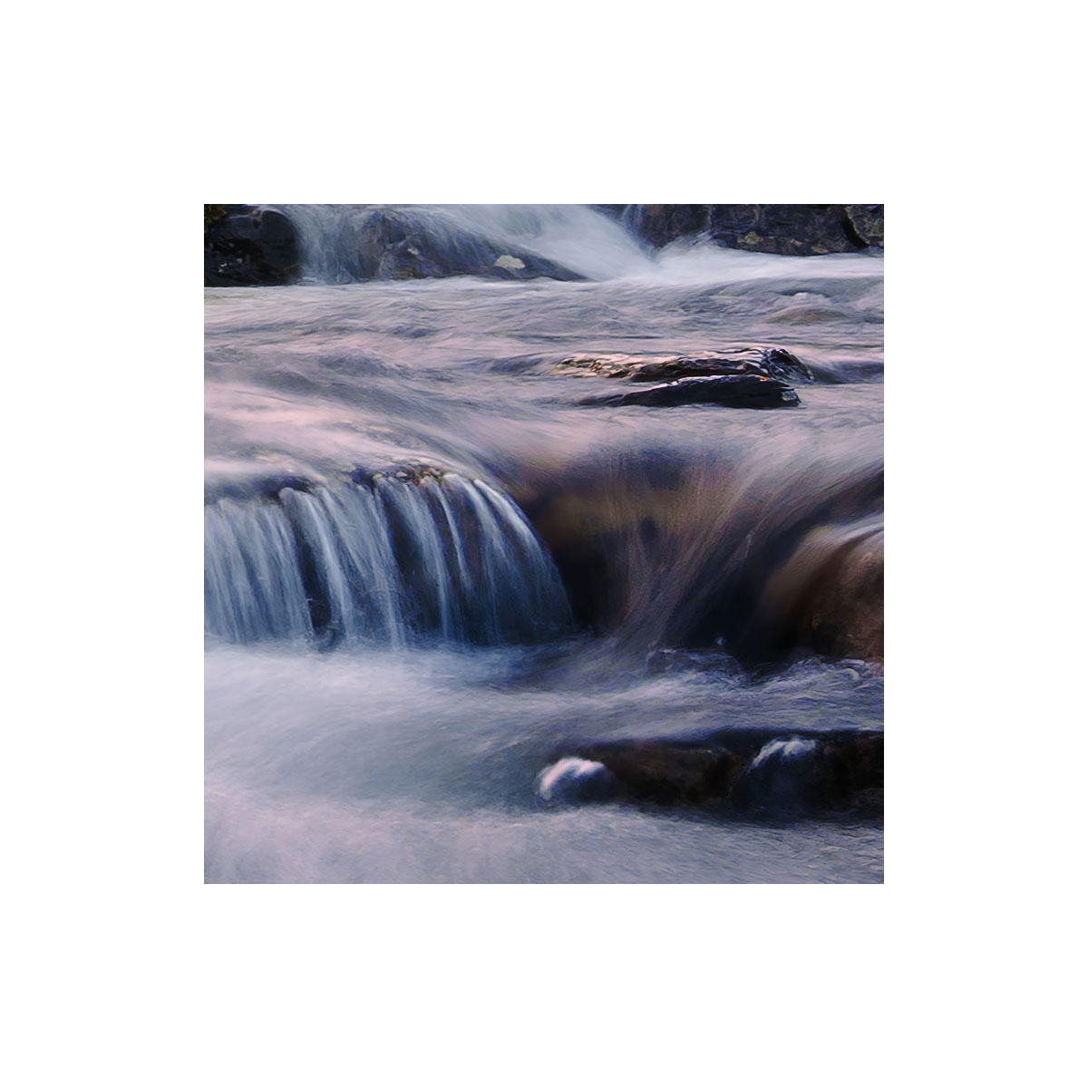 Komar  Vlies Fototapete Wild Paradise 450x280 cm Bild 3