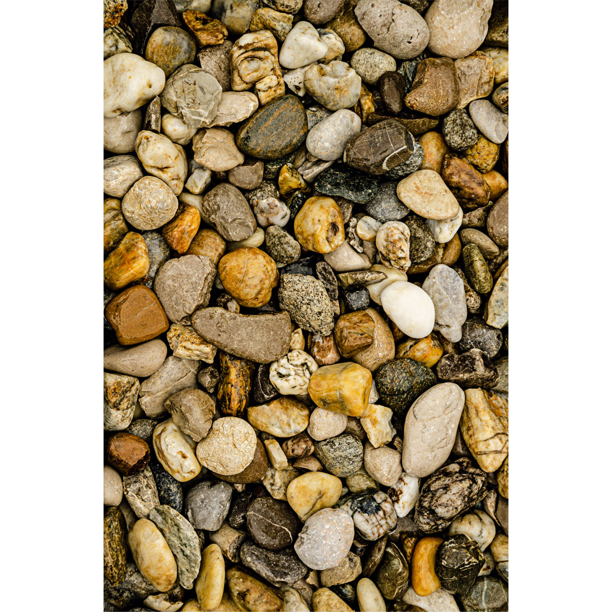 Flusskiesel bunt 32-50 mm 25 kg Bild 2