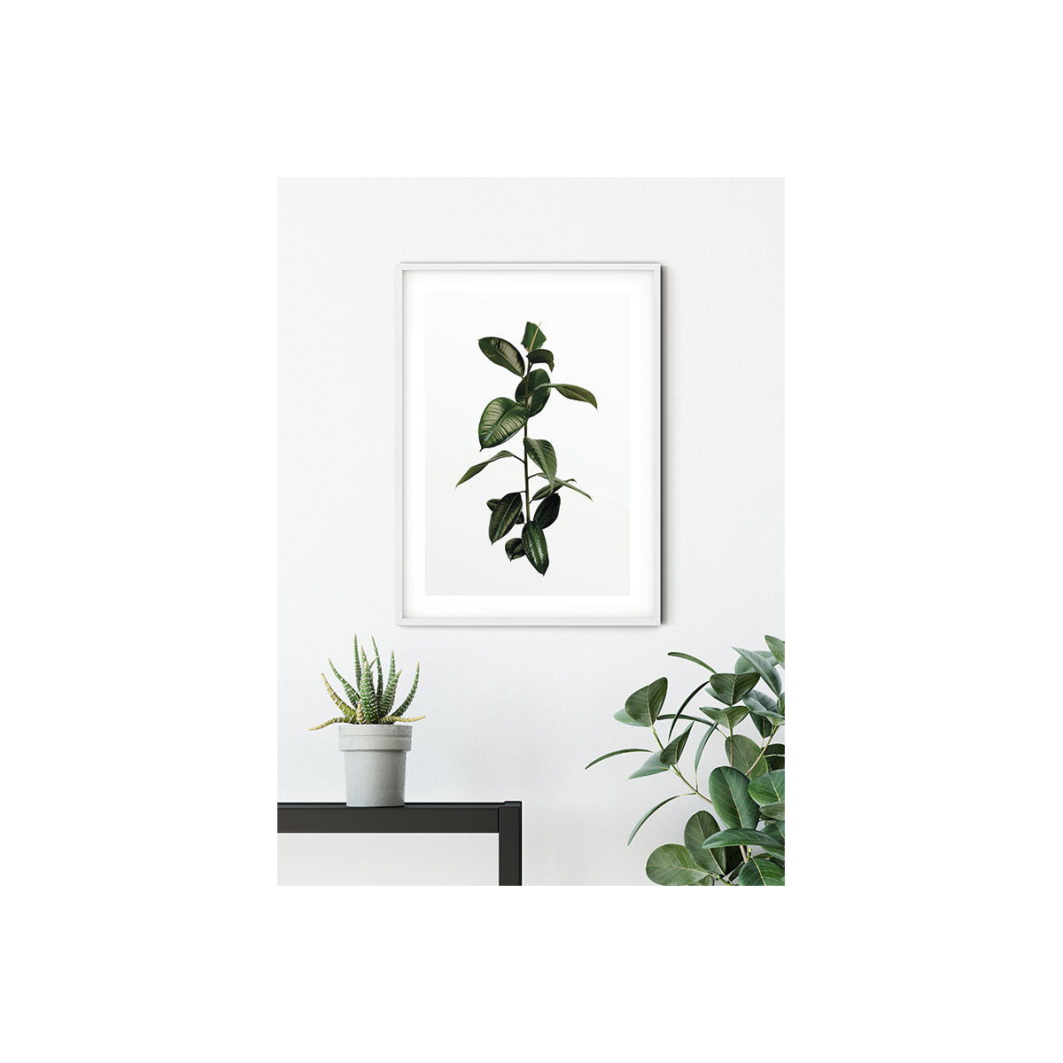 Komar  Wandbild Ficus Branch 40x50 cm Bild 5