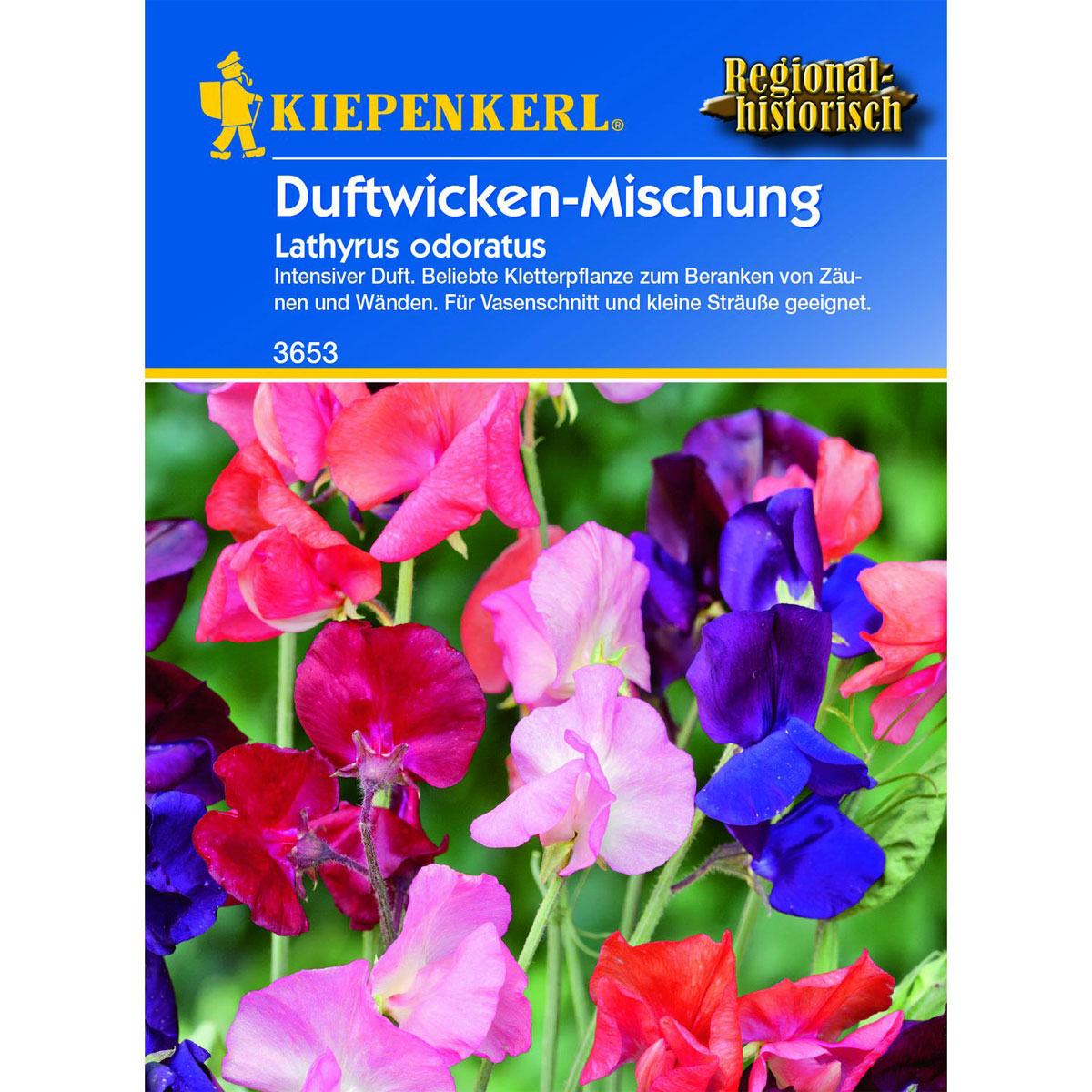 Kiepenkerl Lathyrus Mischung Bild 1