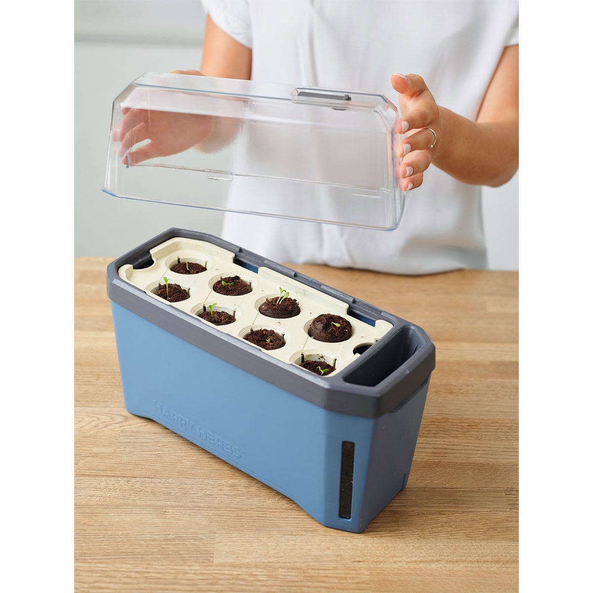 Anzuchtgefäß Harry Herbs mit Deckel blau Bild 2