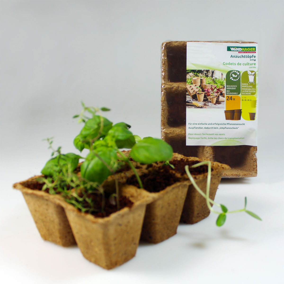Windhager  Torf-Anzuchttöpfe 6 cm Bild 3