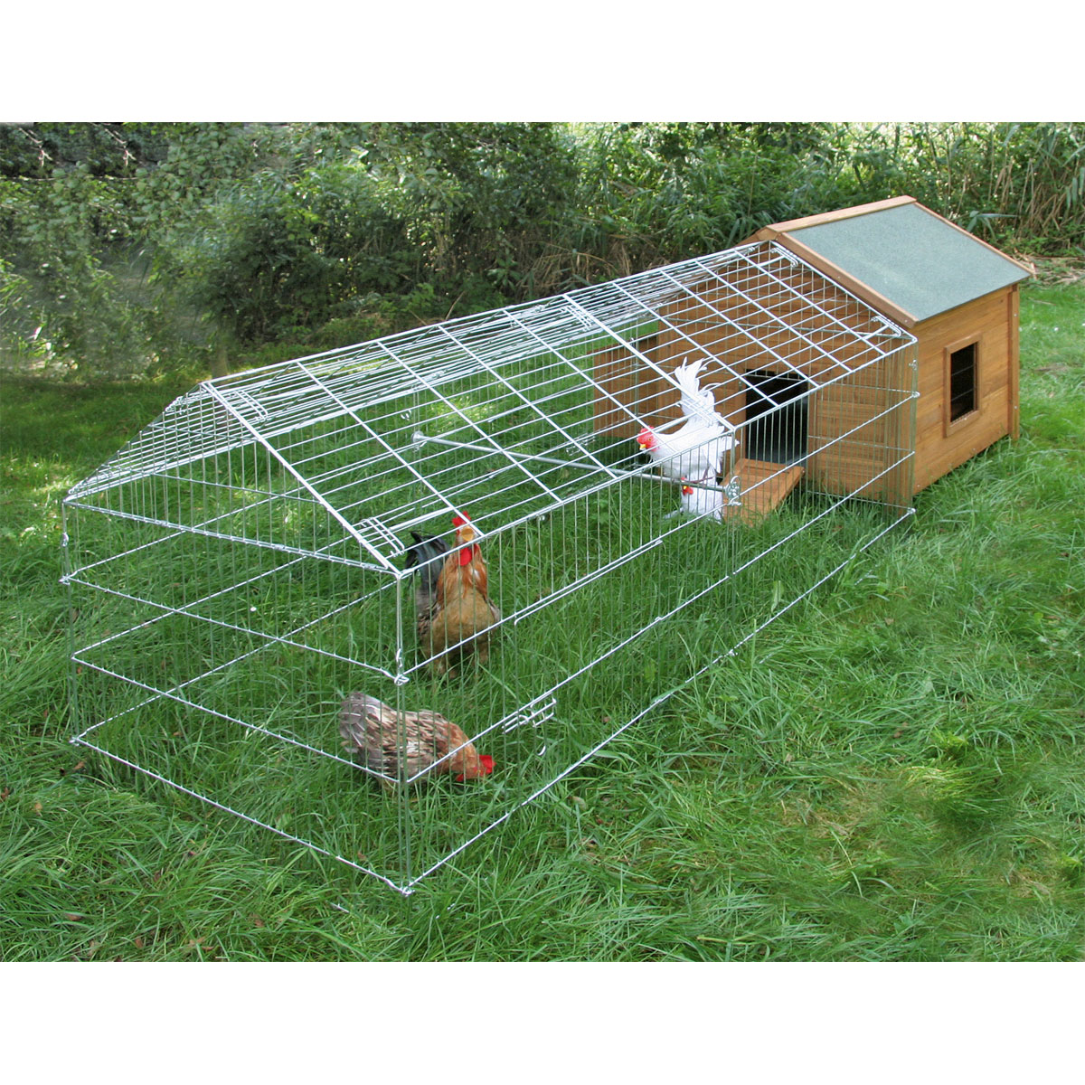Freilaufgehege verzinkt 103 x 103 x 220 cm Bild 3