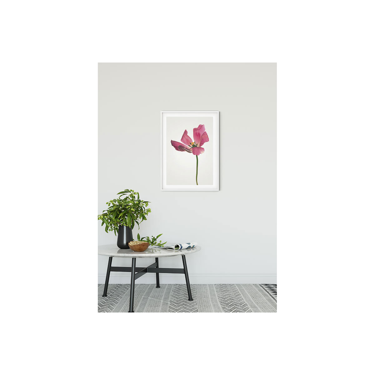Komar  Wandbild Tulip 50x70 cm