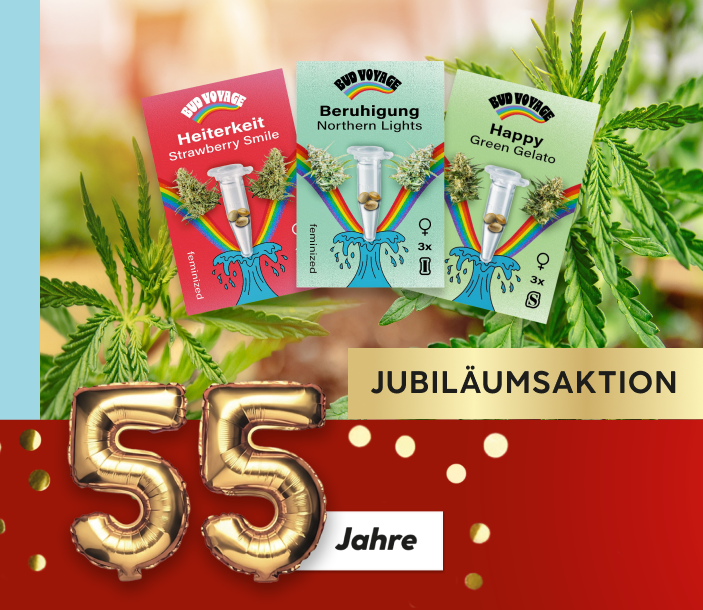 Versandkostenfreie Lieferung von Hanfsamen