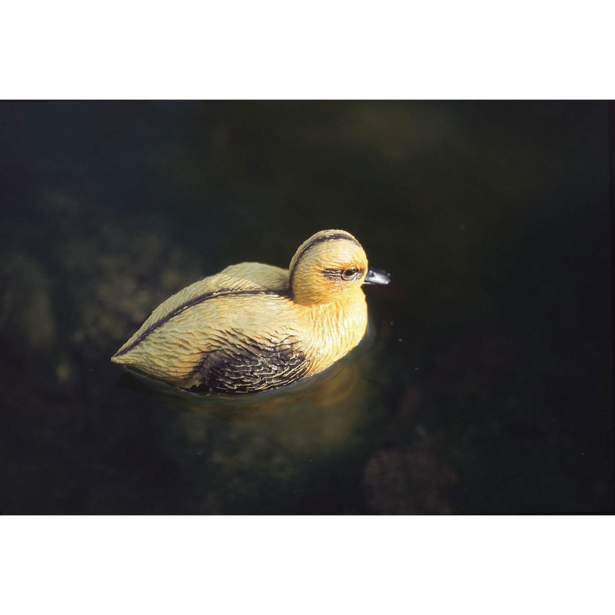 Oase Teichfigur Entenküken