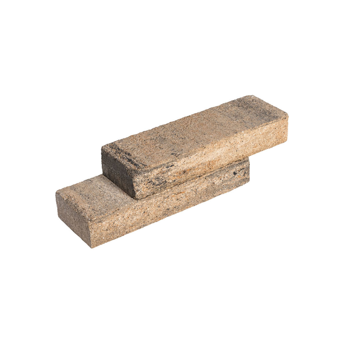 Diephaus  Mauerstein Cup Muschelkalk 60 x 20 x 10 cm Bild 2