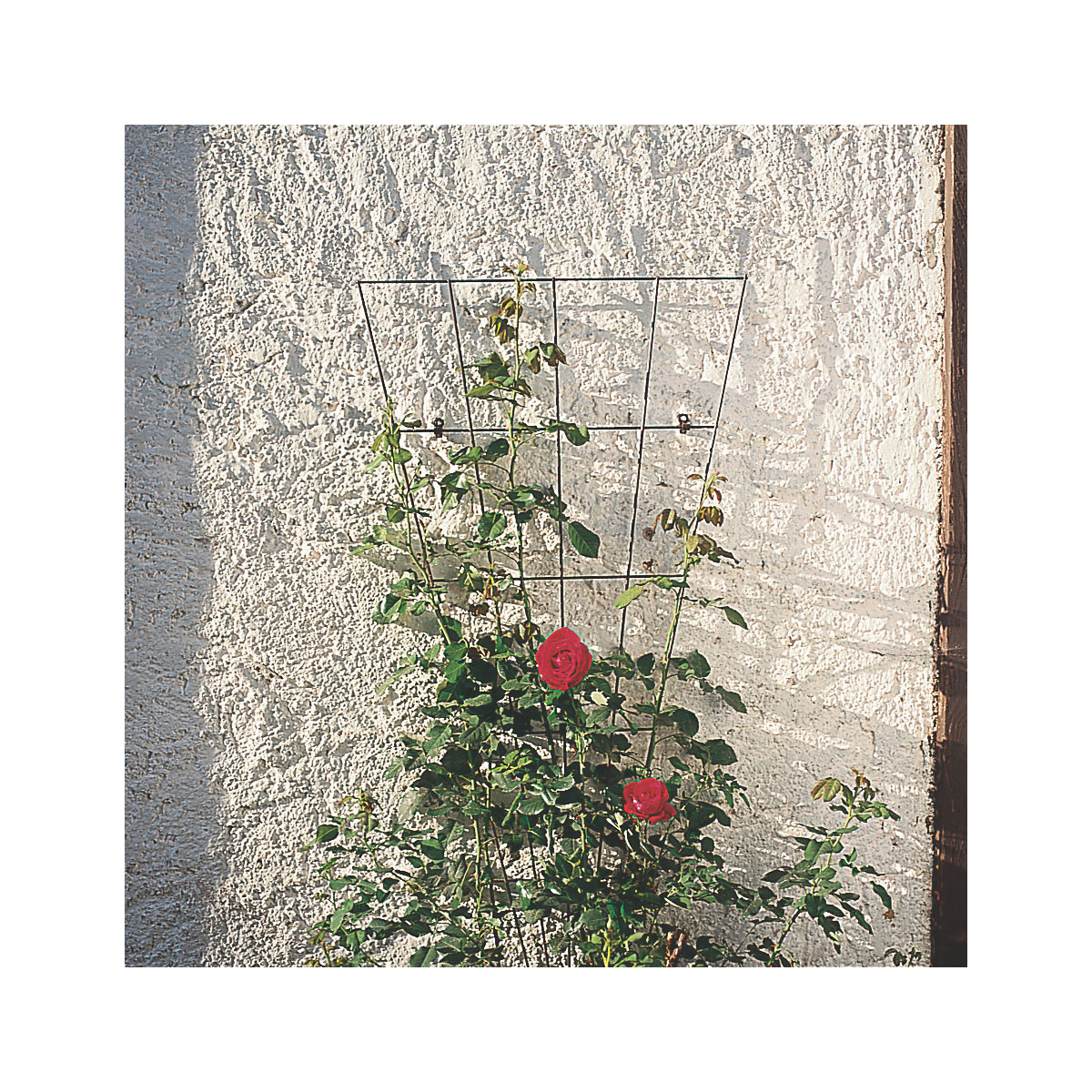 Windhager  Gitterspalier 145 cm V-förmig grün Bild 3