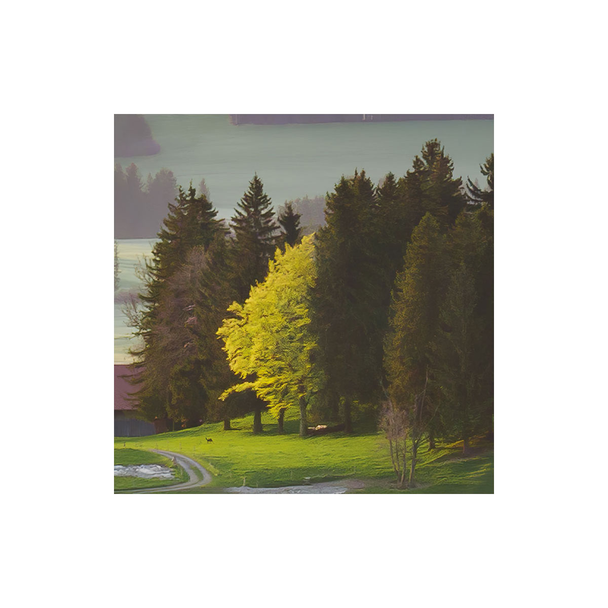 Komar  Vlies Fototapete Paradiesisches Bayern 450x280 cm Bild 6