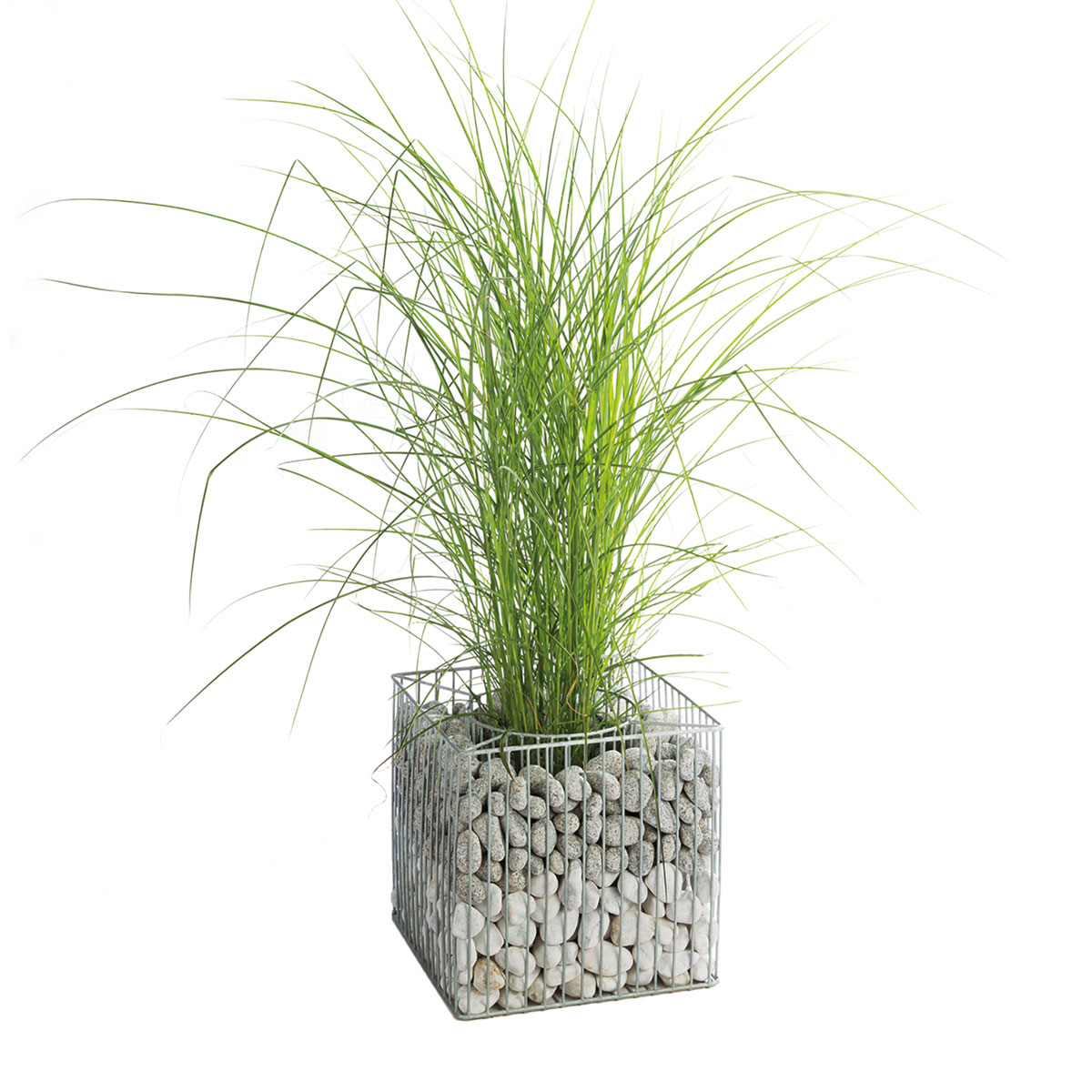 Wilk Gabionen-Pflanzgefäß Futura L Bild 4