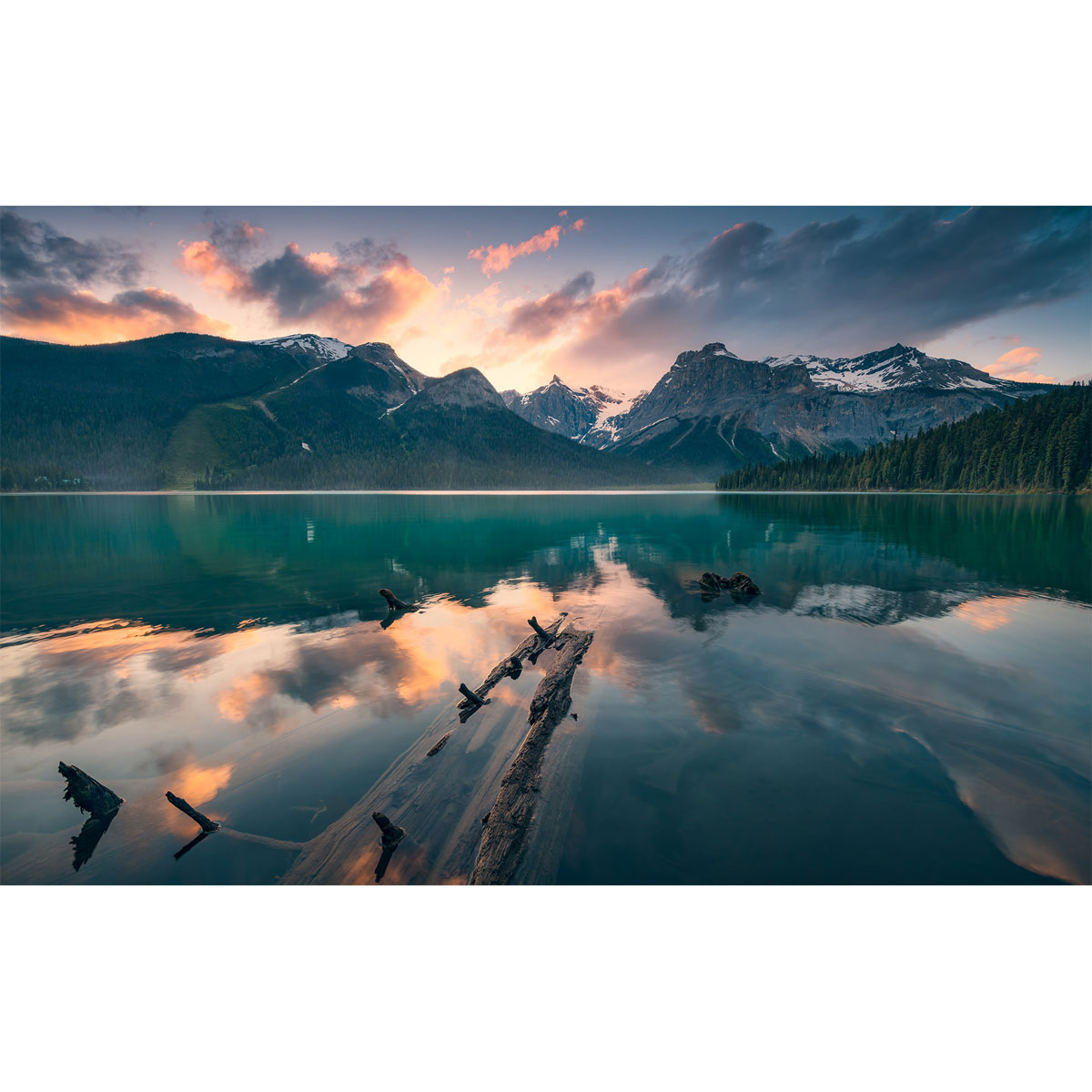 Komar  Vlies Fototapete Burning Emerald 450x280 cm Bild 2