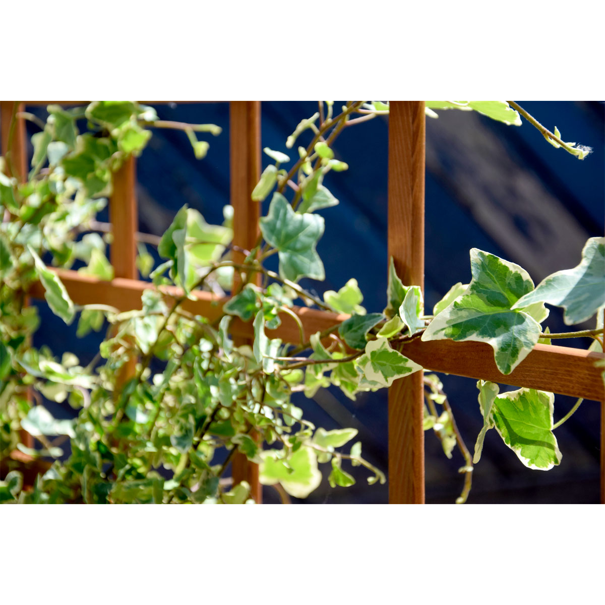 dobar Hochbeet Peru 110 x 115 x 88 cm braun Bild 9