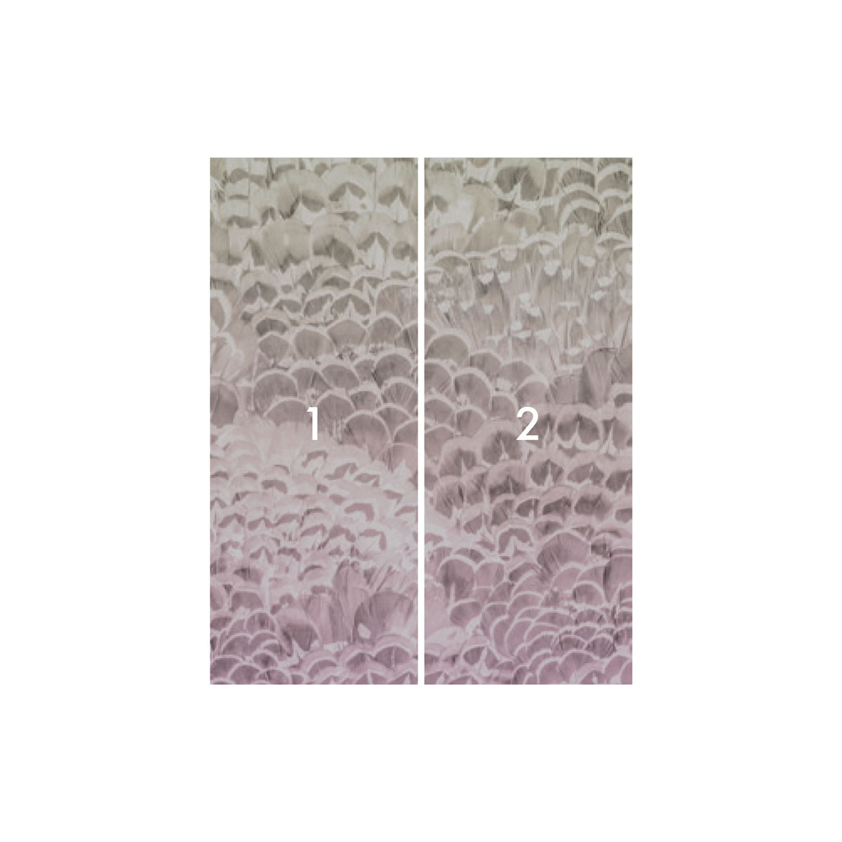 Komar  Vlies Fototapete Pale Feathers 200x250 cm Bild 3
