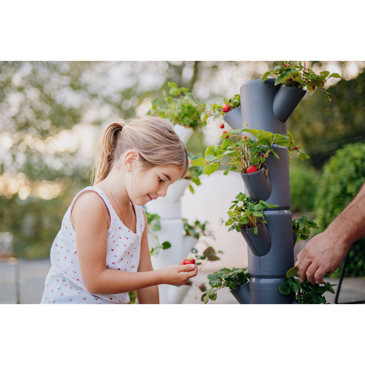 Erdbeerturm Sissi Strawberry Starter-Set anthr. Bild 3