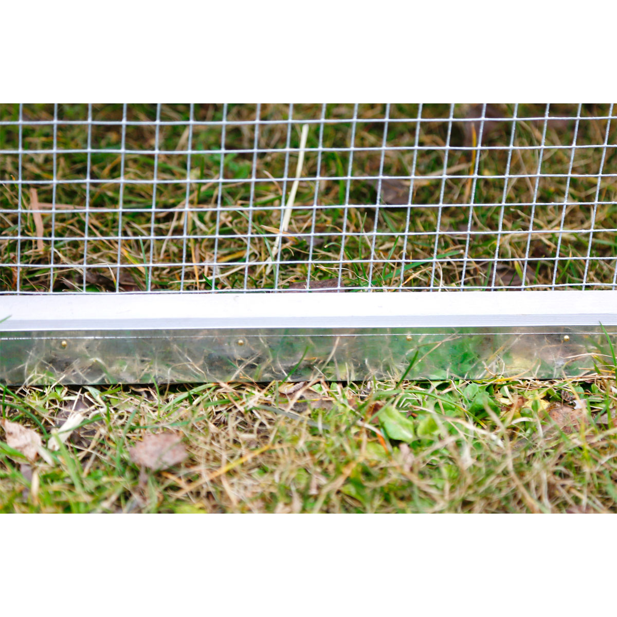 Hühnerstall Bonny 181 x 118 x 65 cm beige-weiß Bild 4