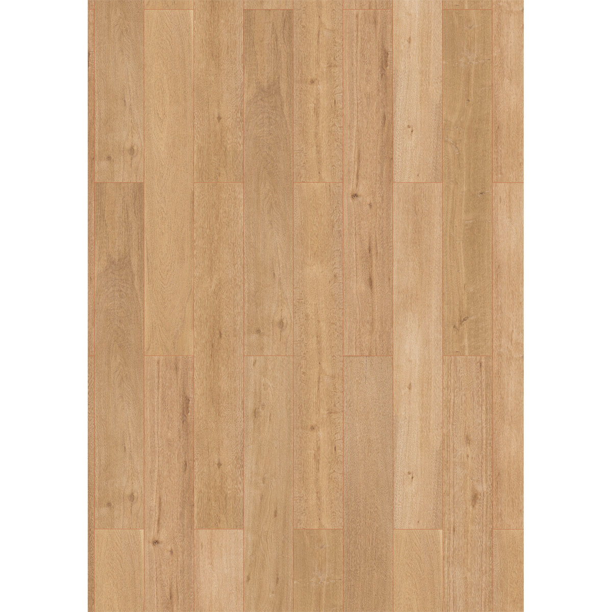 Classen Vinylboden Green Vinyl Traubeneiche geho. Bild 4