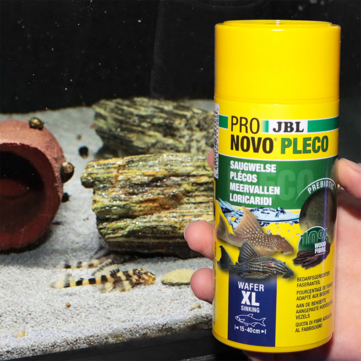 Futtertabletten PRONOVO PLECO WAFER XL 250 ml Bild 6