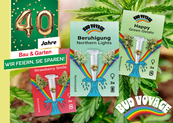 Bud Voyage: Hanfsamen