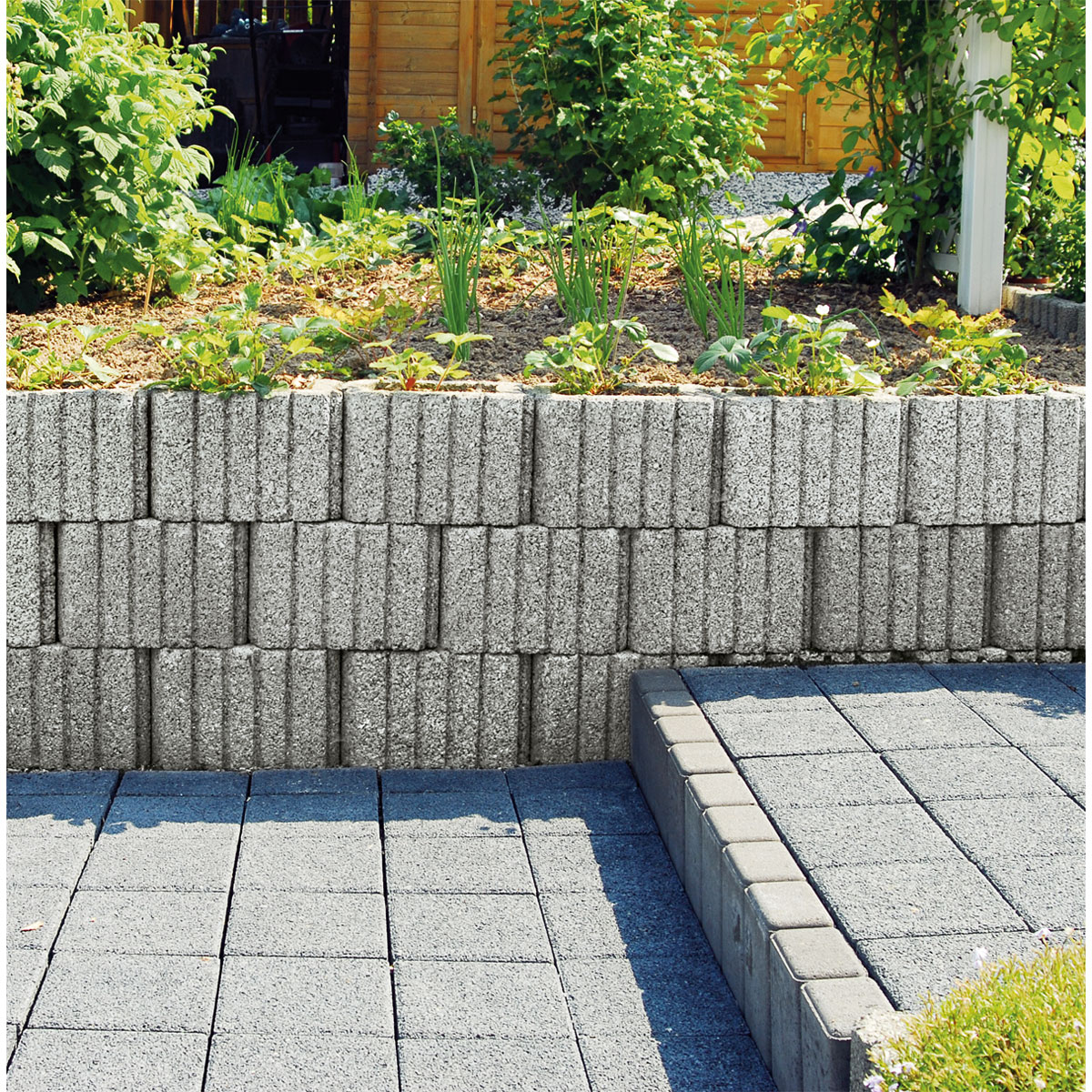 Lusit  Lusit-Bellaflor-Mini grau Bild 2