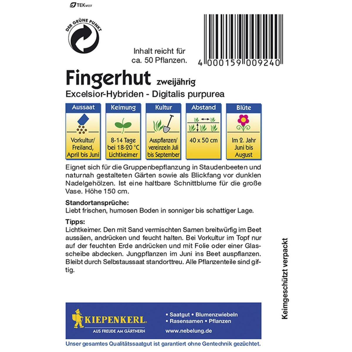 Kiepenkerl Fingerhut Excelsior-Hybriden Bild 2