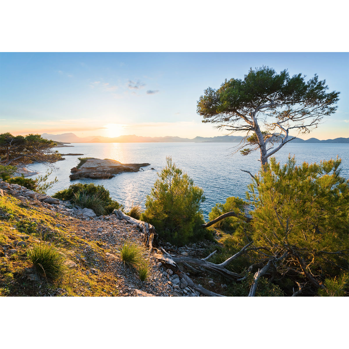 Komar  Vlies Fototapete Licht des Südens 400x280 cm Bild 2