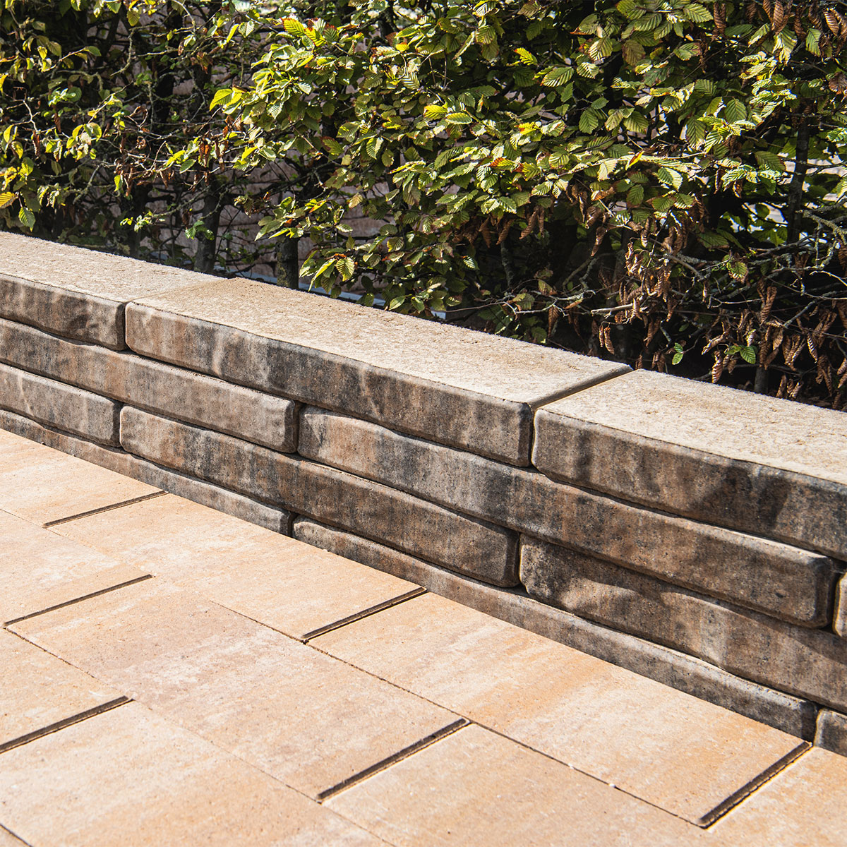 Diephaus  Mauerstein Alive Muschelkalk 60 x 20 x 7 cm Bild 2