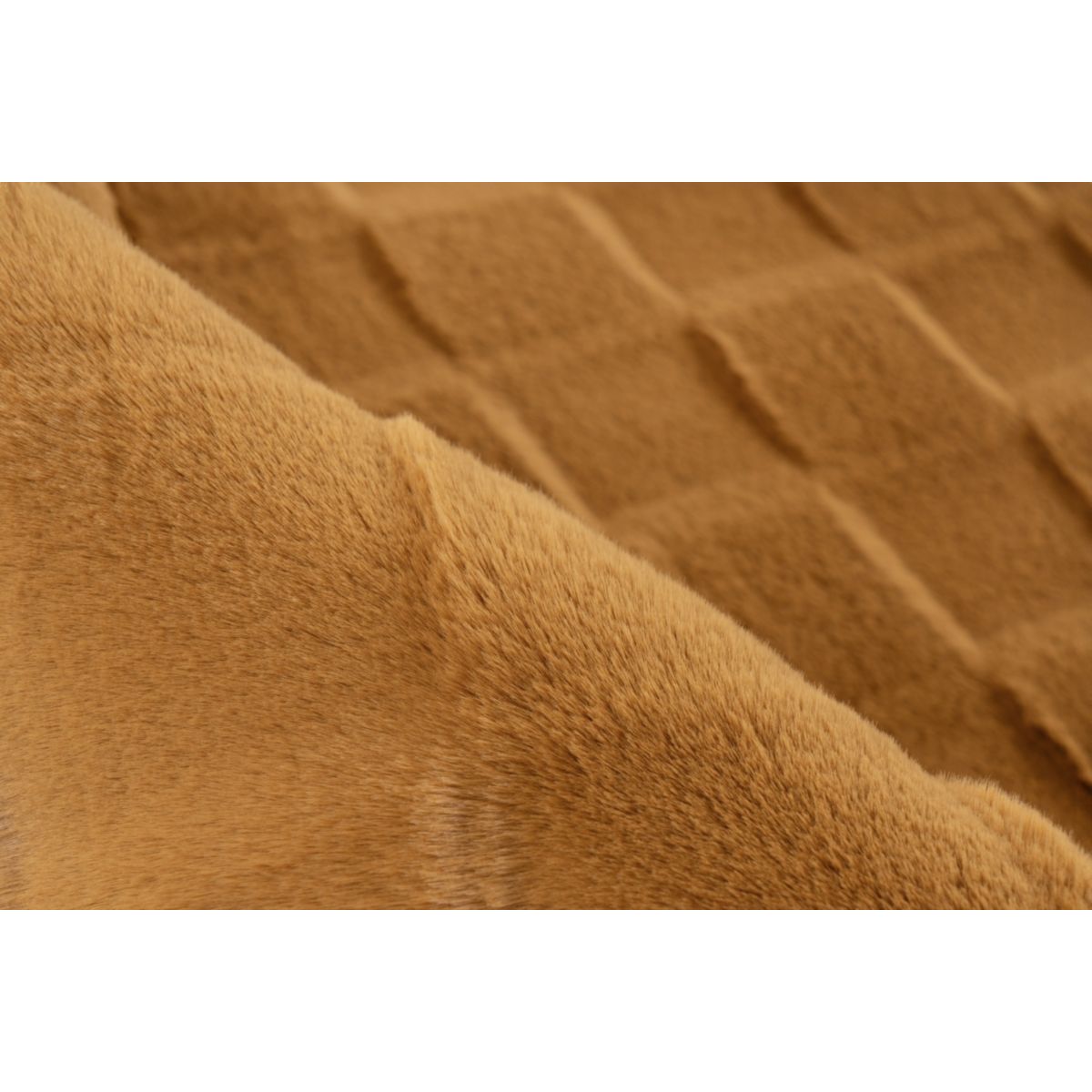 Botany 625 Gelb 80 x 150 cm Bild 4