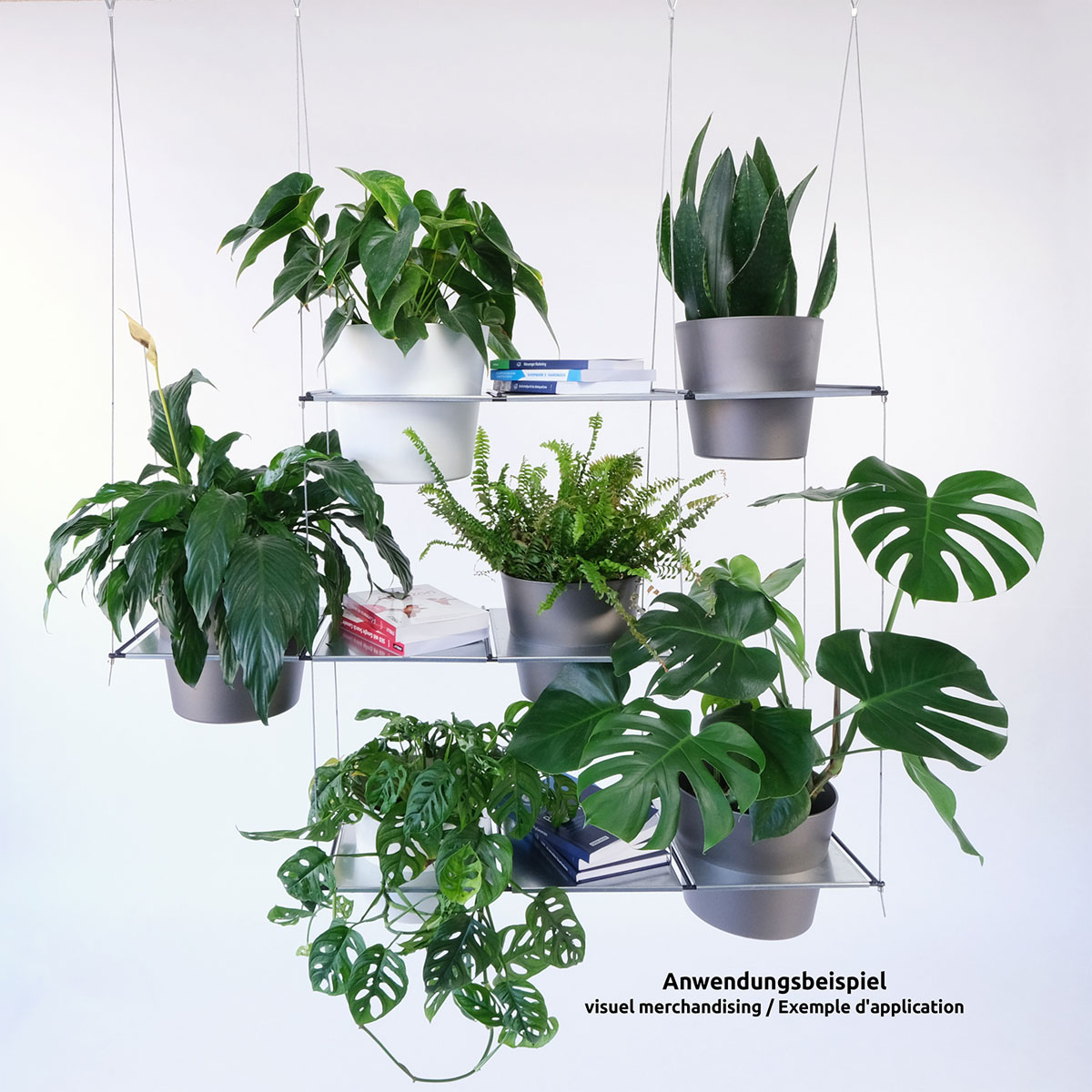 Hängegarten Filo Starter Set Bild 4