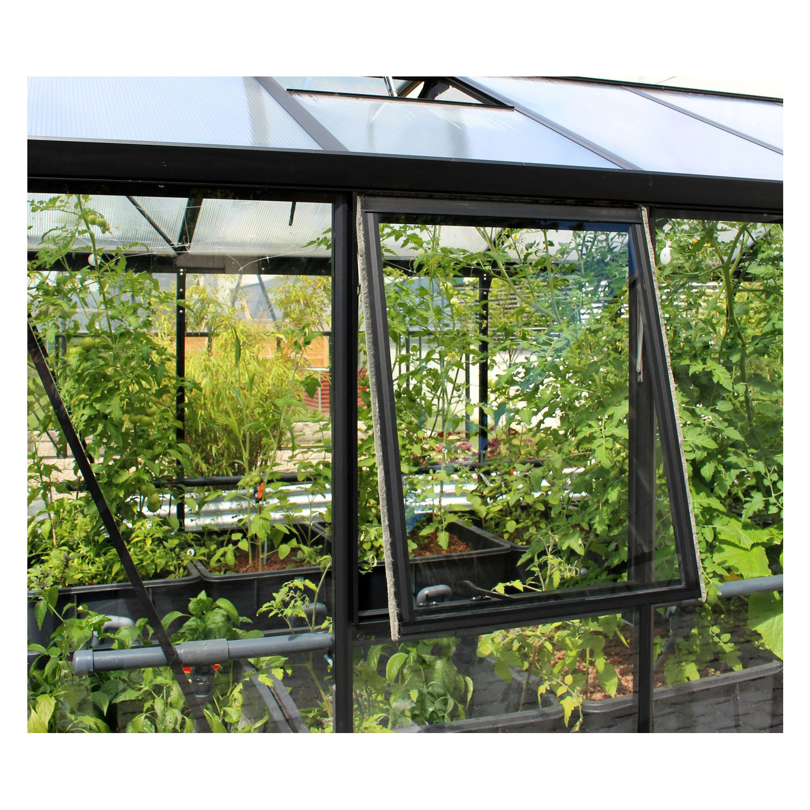 Vitavia Seitenfenster Z mit ESG 3 mm schwarz