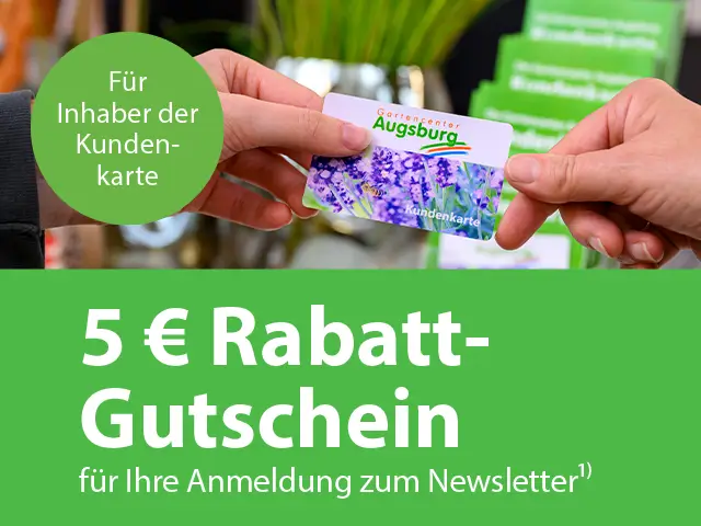 Rabatt Gutschein zur Newsletter-Anmeldung für Inhaber der Kundenkarte