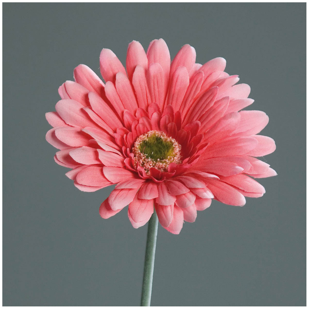 Gerbera 56 cm pink