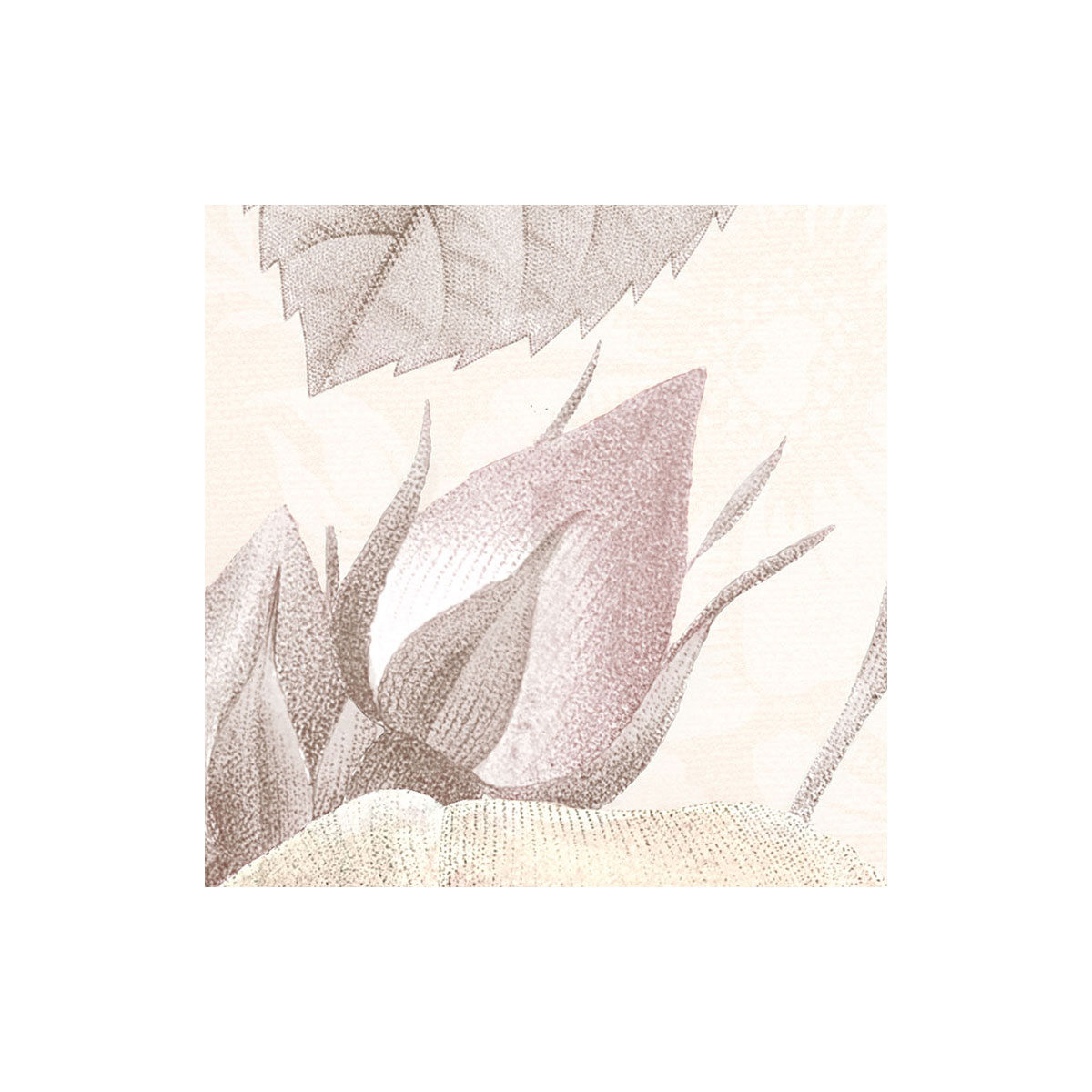 Komar  Vlies Fototapete La Maison 368x248 cm Bild 5