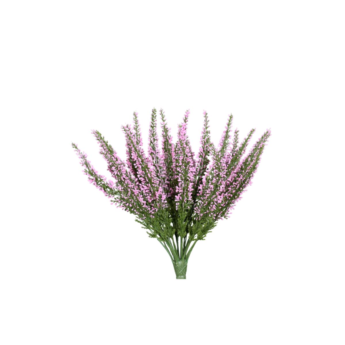 Erika Calluna Pick 26 cm farbig sortiert pink cream fuchsia