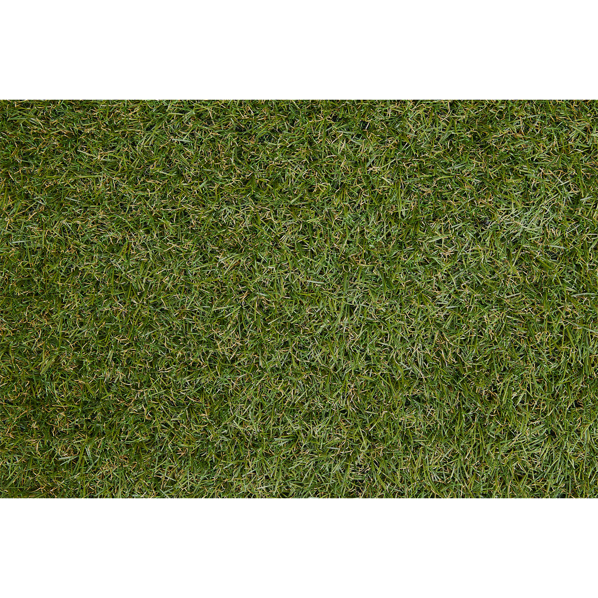 Kunstrasen Chill 133 x 300 cm