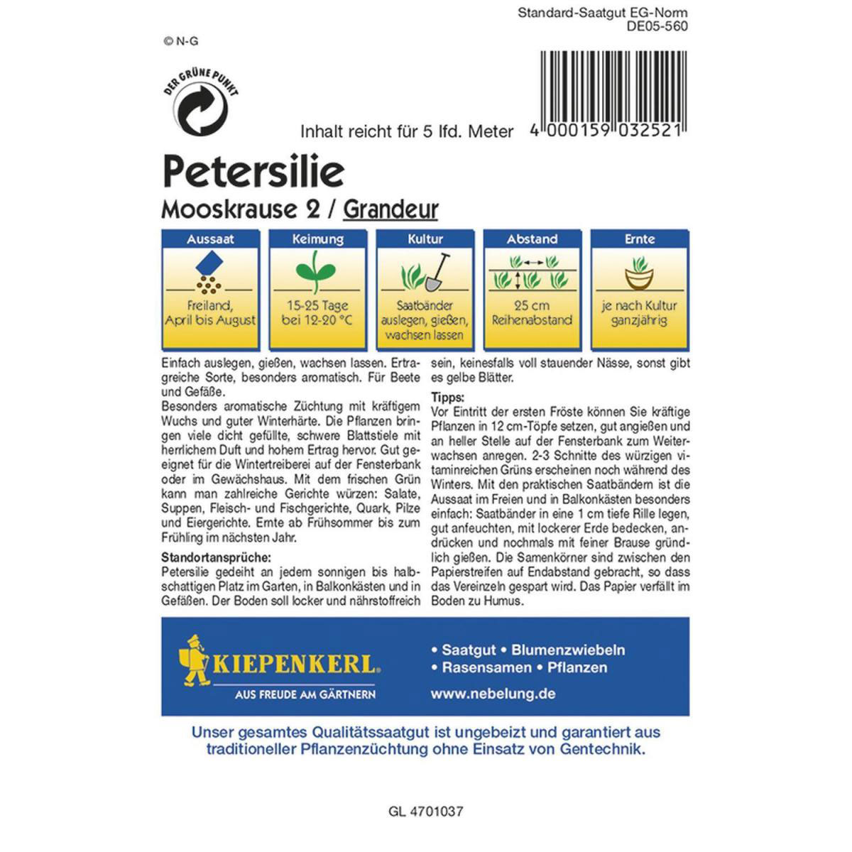 Kiepenkerl Petersilie Mooskrause 2 Grandeur - Saatband Profi-Line Bild 2