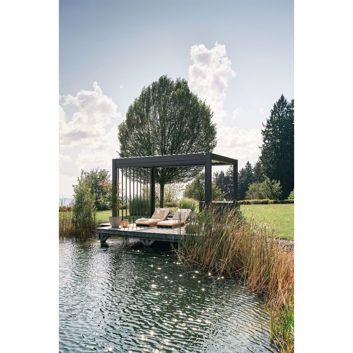 Biohort Pergola Gr. 4 x 3 dunkelgrau/silber-metallic Bild 2