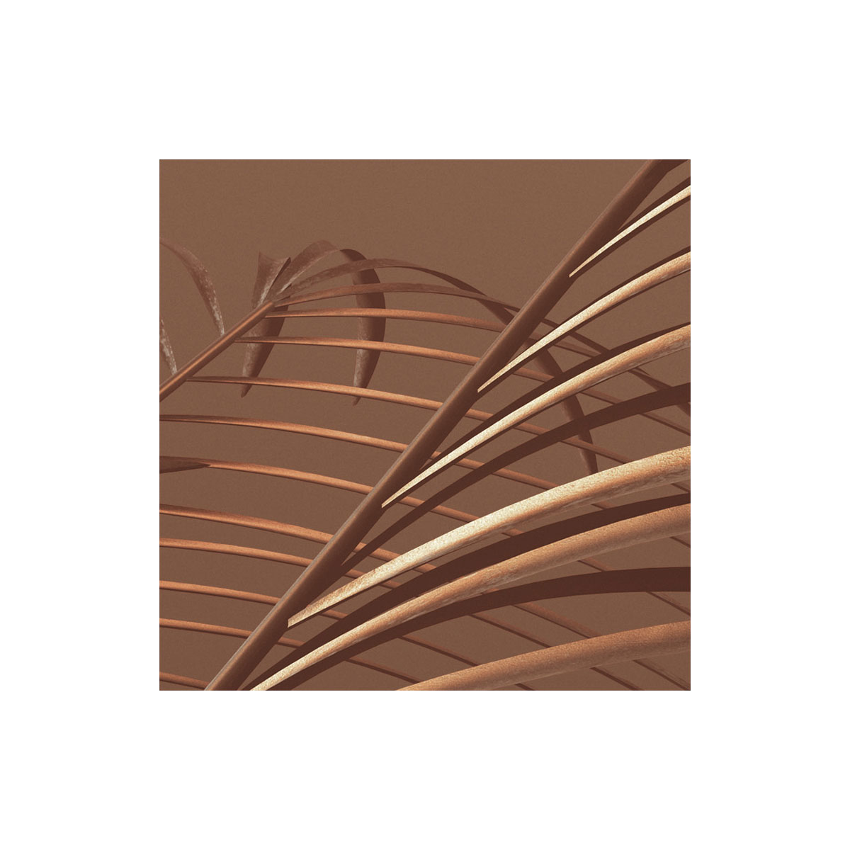 Komar  Vlies Fototapete Calypso 350x250 cm Bild 4