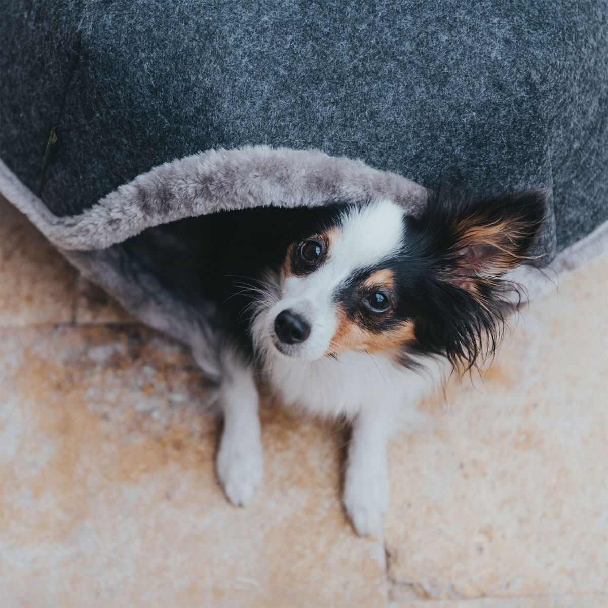 Hunter  Katzenhöhle Lugano anthrazit 55 cm Bild 3