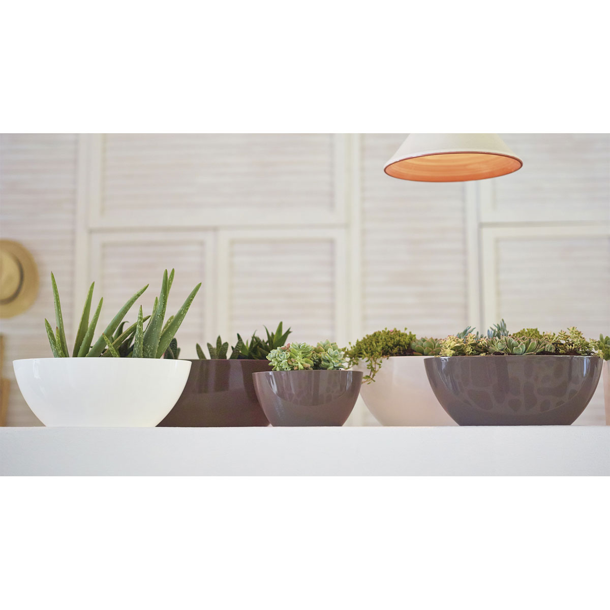 Schale Bahia Plant Box 45 cm weiß Bild 5