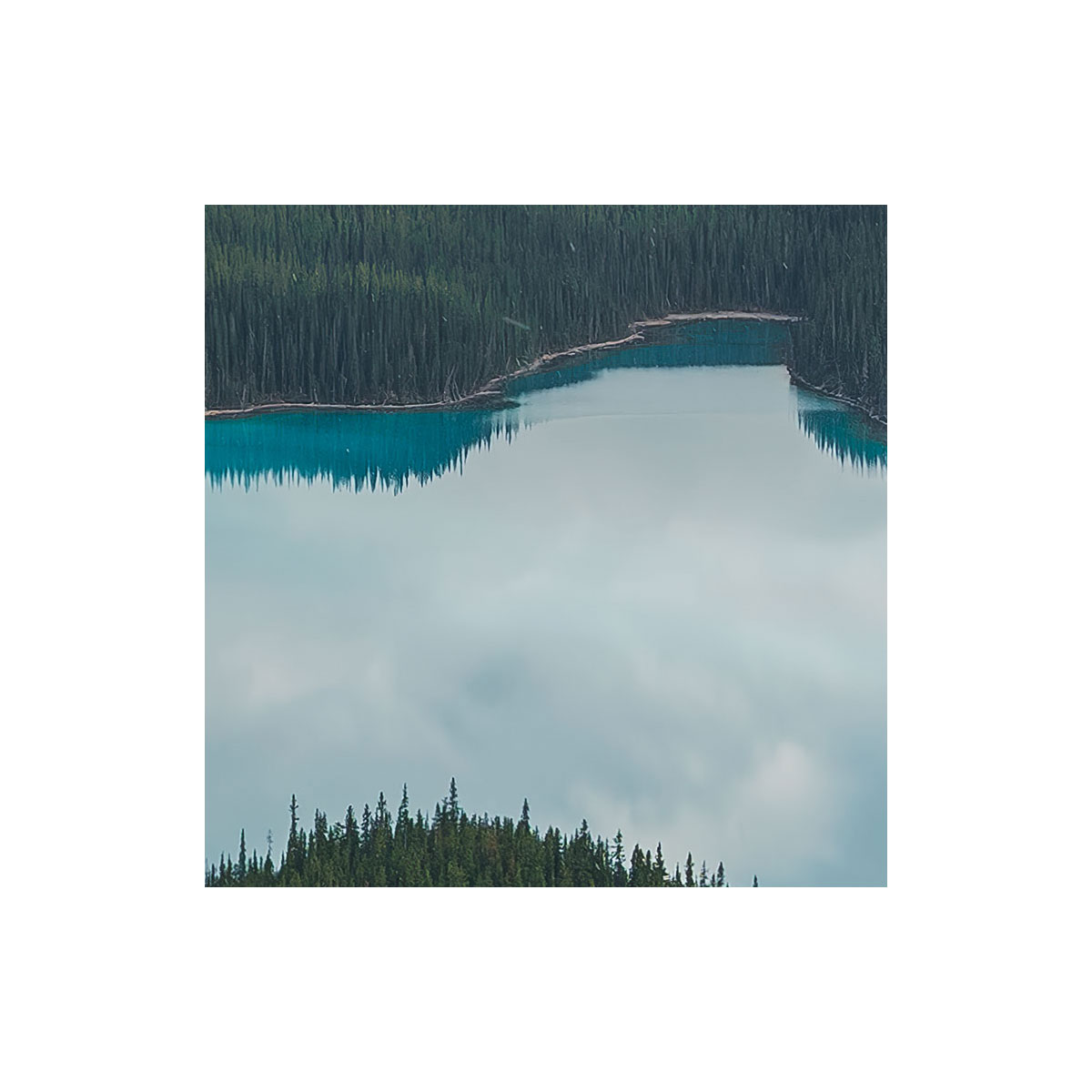 Komar  Vlies Fototapete Wonderland Canada 450x280 cm Bild 6