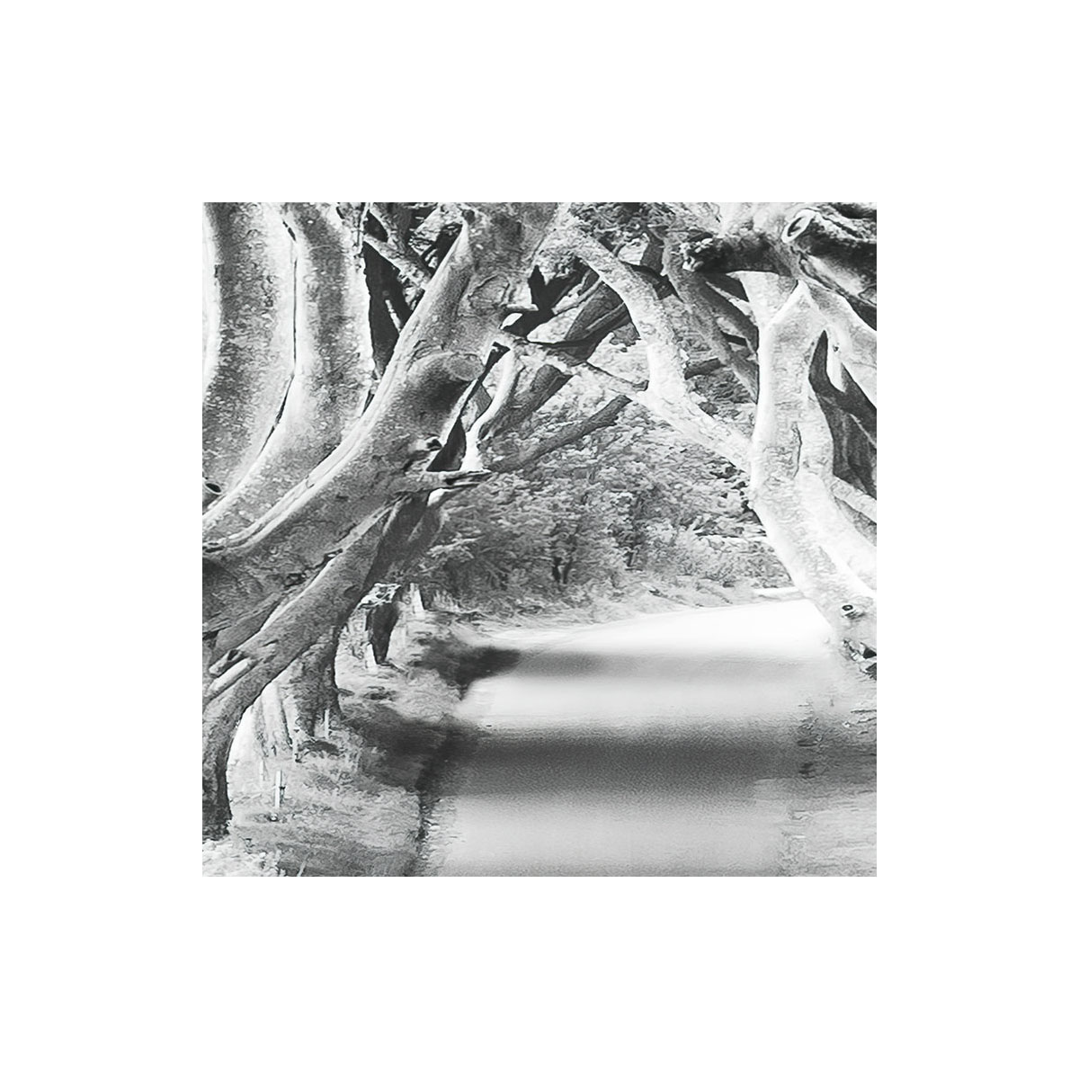 Komar  Vlies Fototapete Forevenue 250x280 cm Bild 5