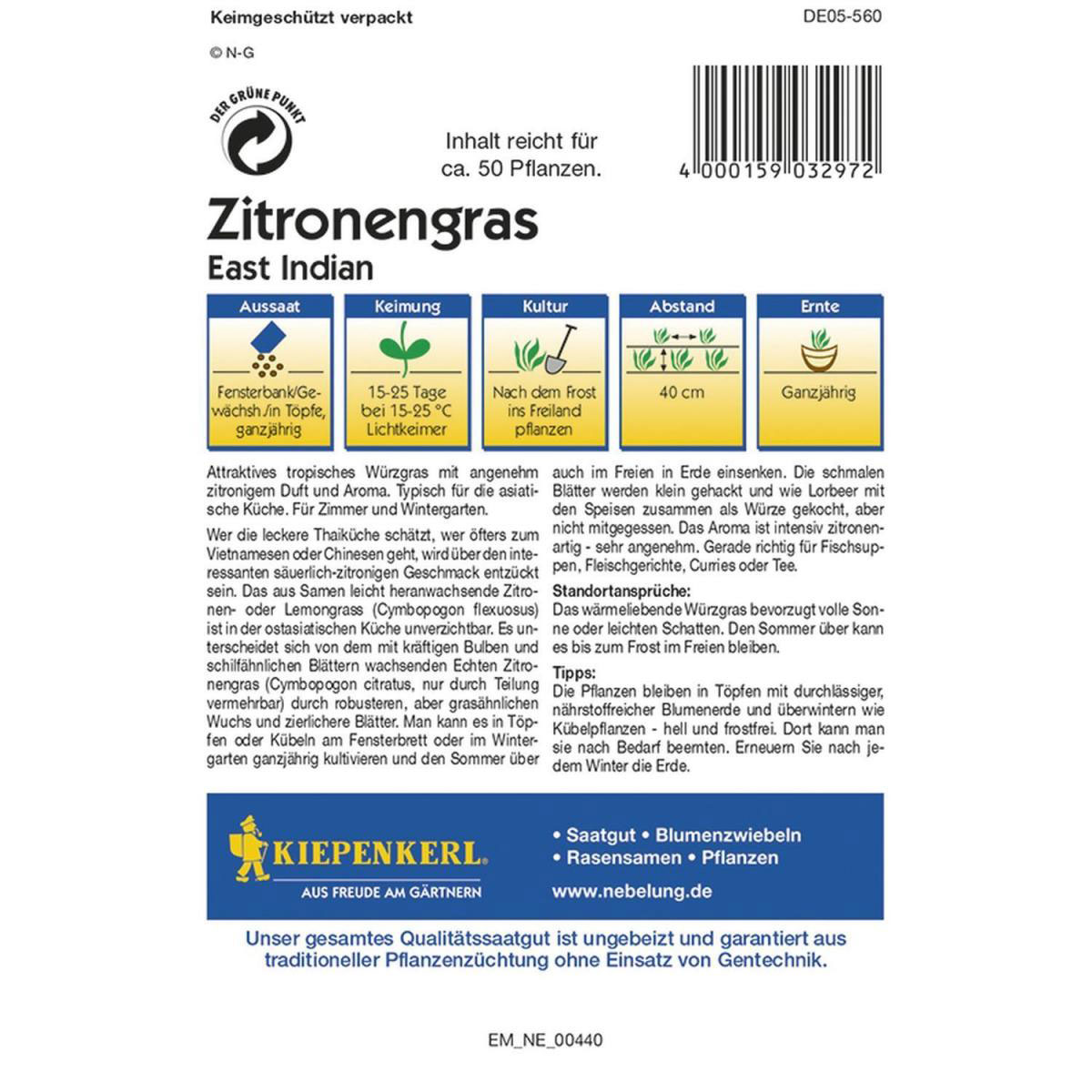 Kiepenkerl Zitronengras East Indian Profi-Line Bild 2